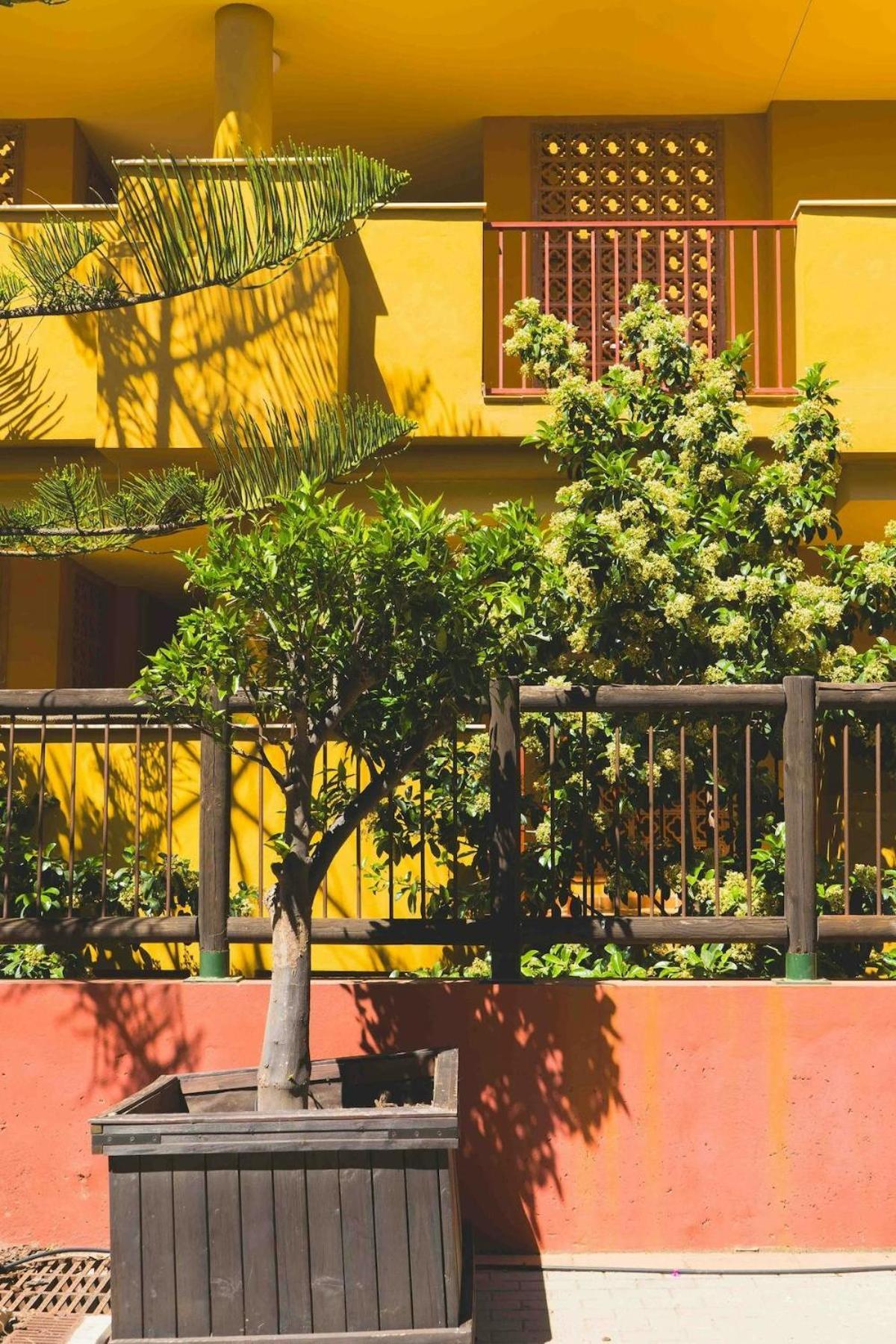 Ap. Reserva De Marbella